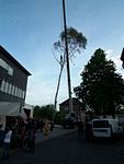 Maibaum der Feuerwehr