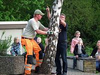 Maibaum der Feuerwehr