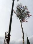 Maibaum der Feuerwehr