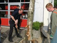 Maibaum der Feuerwehr