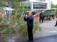 Maibaum 2006 der Feuerwehr