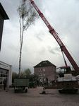 Maibaum 2006 der Feuerwehr