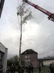 Maibaum 2006 der Feuerwehr