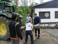 Maibaum der Jungschützen
