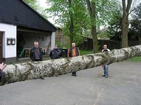 Maibaum der Jungschützen