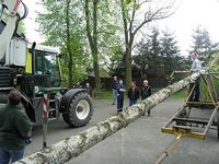 Maibaum der Jungschützen