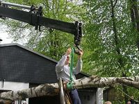 Maibaum der Jungschützen