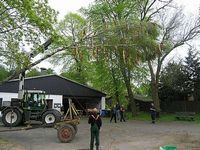 Maibaum der Jungschützen