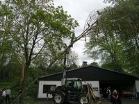 Maibaum der Jungschützen