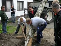 Maibaum der Jungschützen