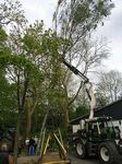 Maibaum der Jungschützen