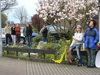 Maibaum 2006 der Mohle