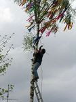 Maibaum 2006 der Mohle