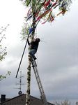 Maibaum 2006 der Mohle