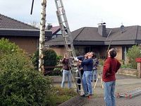 Maibaum 2006 der Mohle