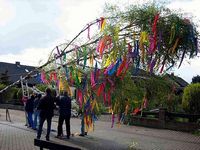 Maibaum 2006 der Mohle