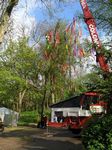 Maibaum 2006 der Jungschützen