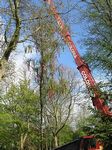 Maibaum 2006 der Jungschützen