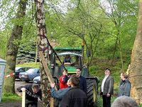 Maibaum 2006 der Jungschützen