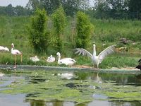 Messdiener-Ausflug 2007