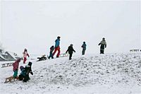 Rasselbande im Schnee