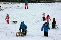 Rasselbande im Schnee