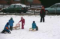 Rasselbande im Schnee