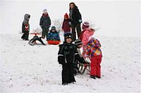 Rasselbande im Schnee