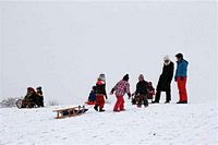 Rasselbande im Schnee