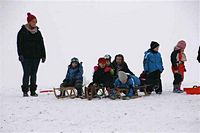 Rasselbande im Schnee