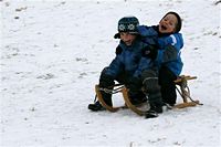 Rasselbande im Schnee