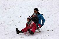 Rasselbande im Schnee