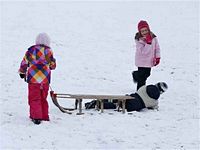 Rasselbande im Schnee