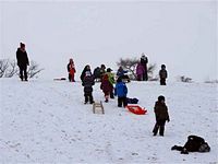 Rasselbande im Schnee