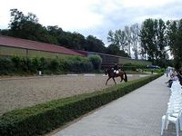 Reiturnier auf dem Wirtgeshof