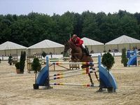 Reiturnier auf dem Wirtgeshof