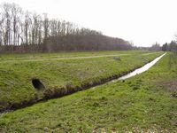 Regenüberlaufbecken am Neffelbach