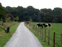 Radweg am Neffelbach