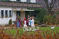 Sternsinger 2015