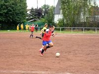 Unser Dorf spielt Fußball 2008