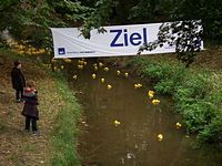 Entenrennen 2012