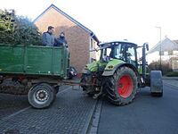 Weihnachtsbaum-Sammlung 2016