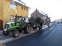 Weihnachtsbaum-Sammlung 2009