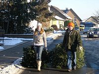 Weihnachtsbaum-Sammlung 2009