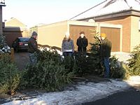 Weihnachtsbaum-Sammlung 2009