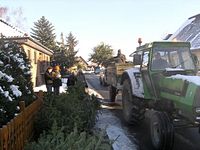 Weihnachtsbaum-Sammlung 2009