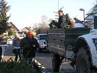 Weihnachtsbaum-Sammlung 2009