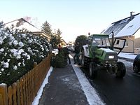 Weihnachtsbaum-Sammlung 2009