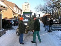 Weihnachtsbaum-Sammlung 2009