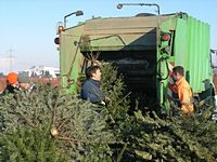 Weihnachtsbaum-Sammlung 2009